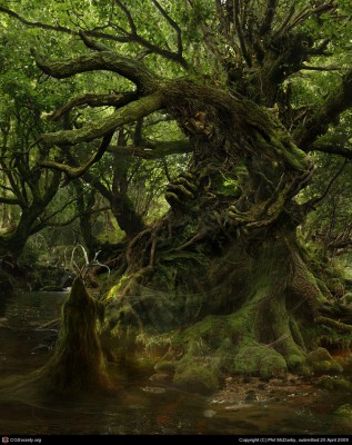 Green Man Awakes Green Man Awakes