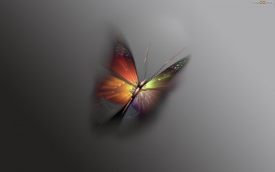 Wallpaper Mariposa