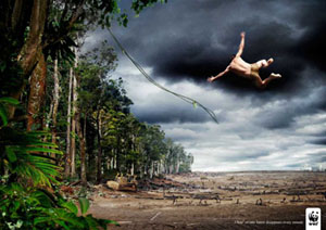 {wwf} 02