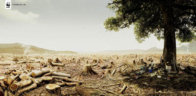 {wwf} 01